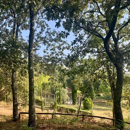 Casa Do Cerrado-country House * Amarante